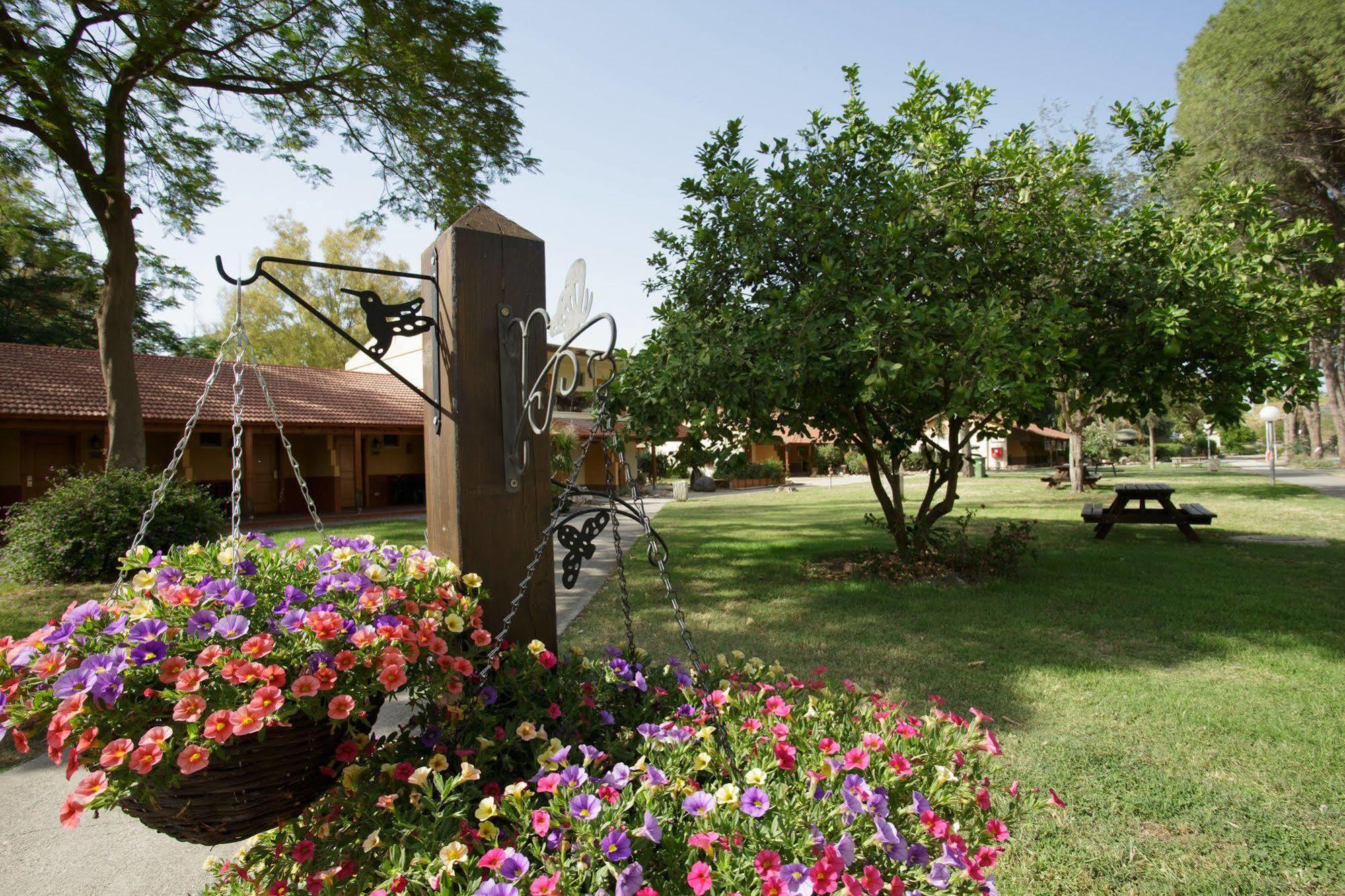 Nof Ginosar Kibbutz Hotel Exterior photo
